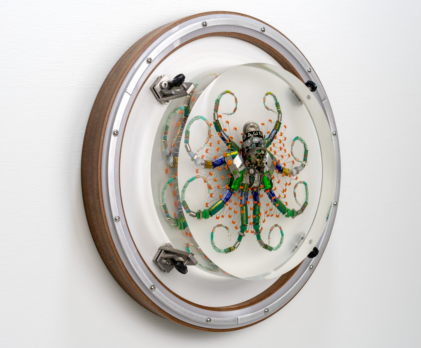 Optic Encoder Octopus (Tube-Head Cephalopod), 2024