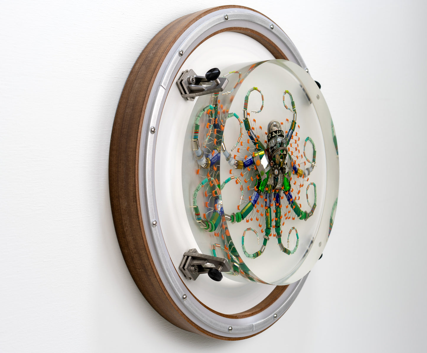 Optic Encoder Octopus (Tube-Head Cephalopod), 2024