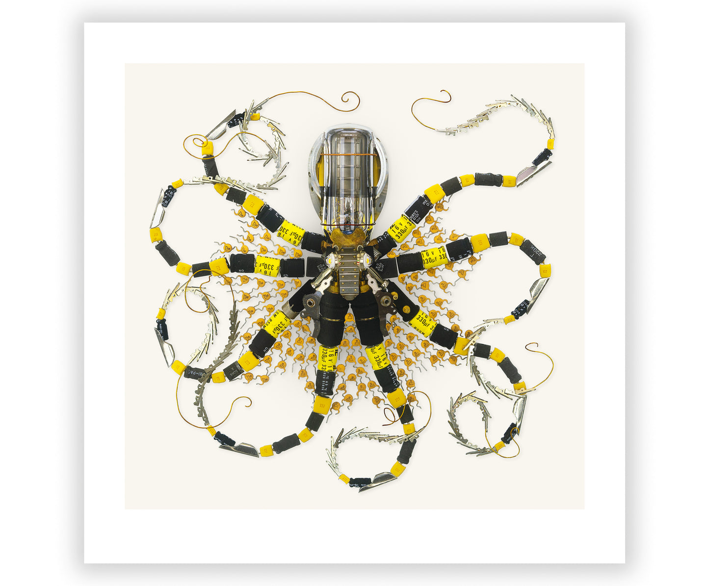 Yellow-Black Octopus Signed Fine Art Print (10 x 10)