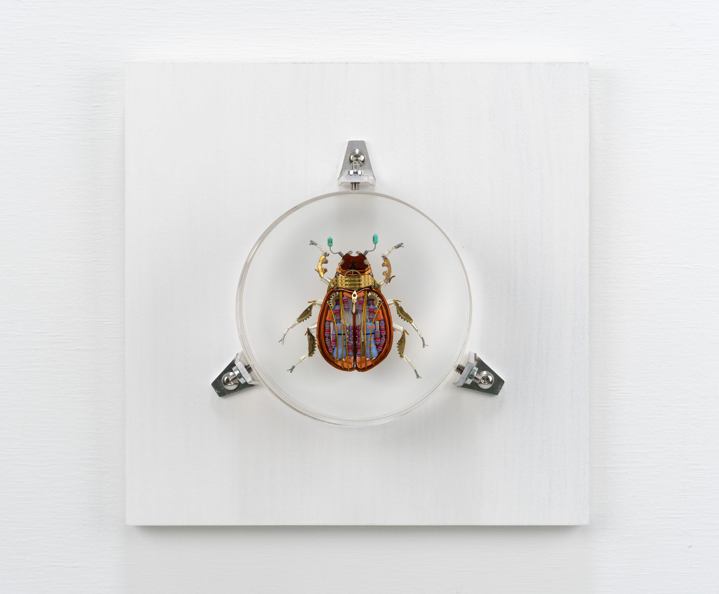 Khepri, 2024