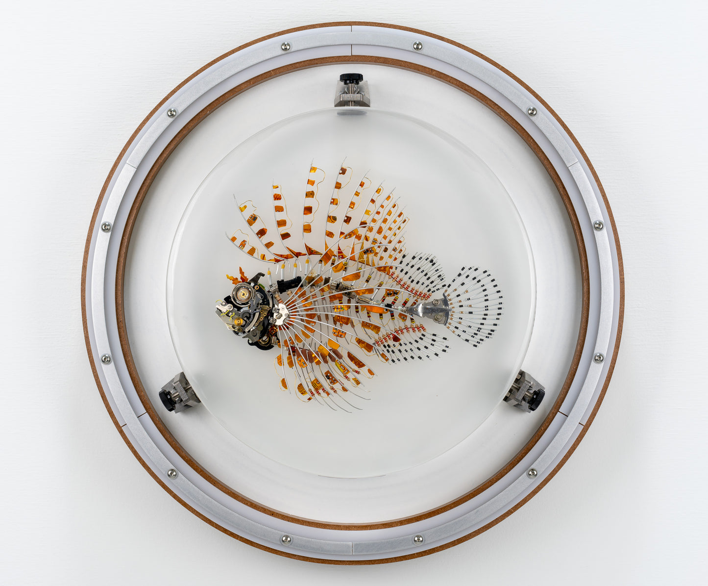 Kapton Lionfish, 2023