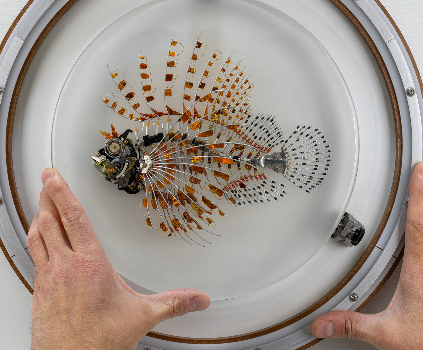 Kapton Lionfish, 2023