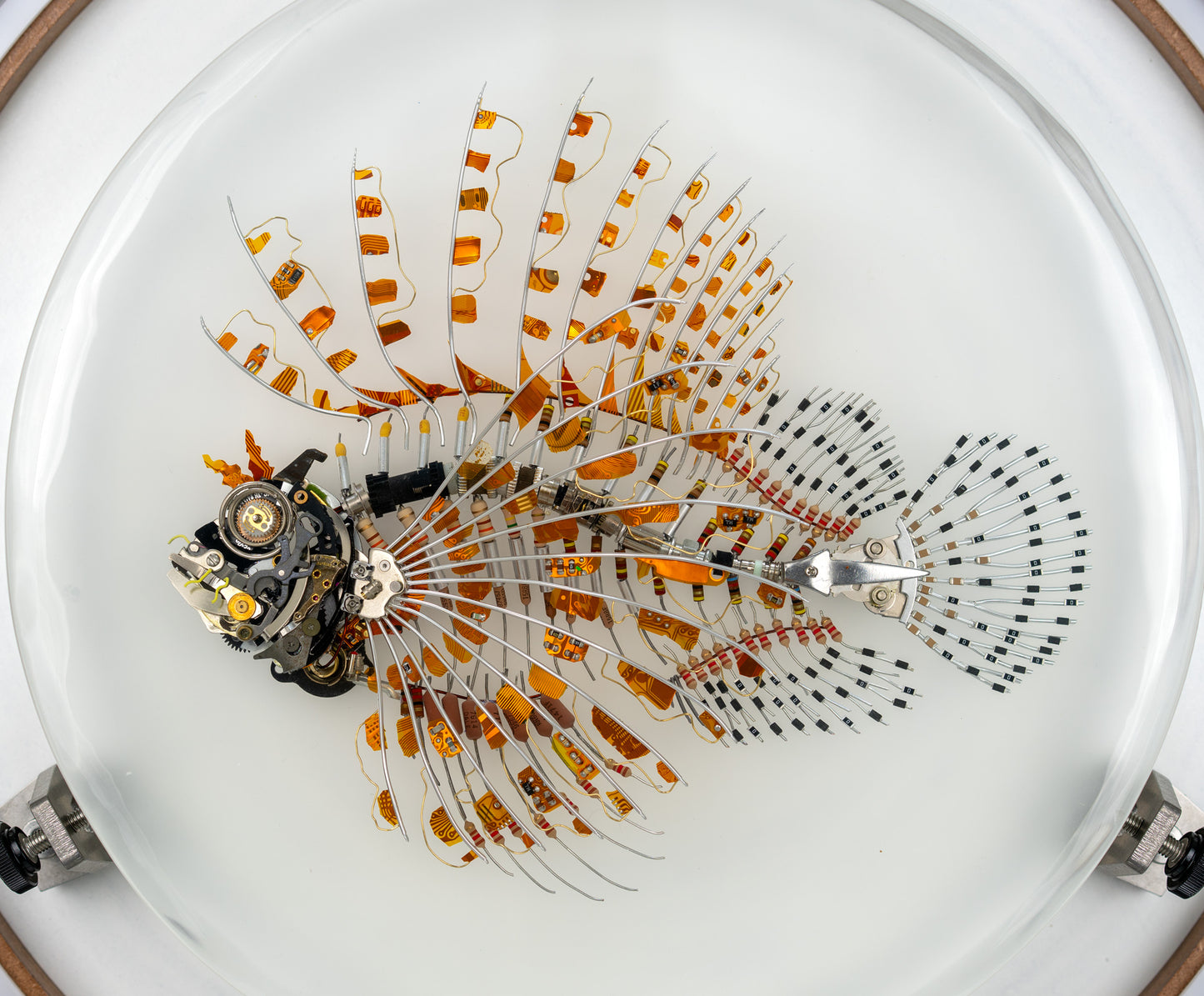 Kapton Lionfish, 2023