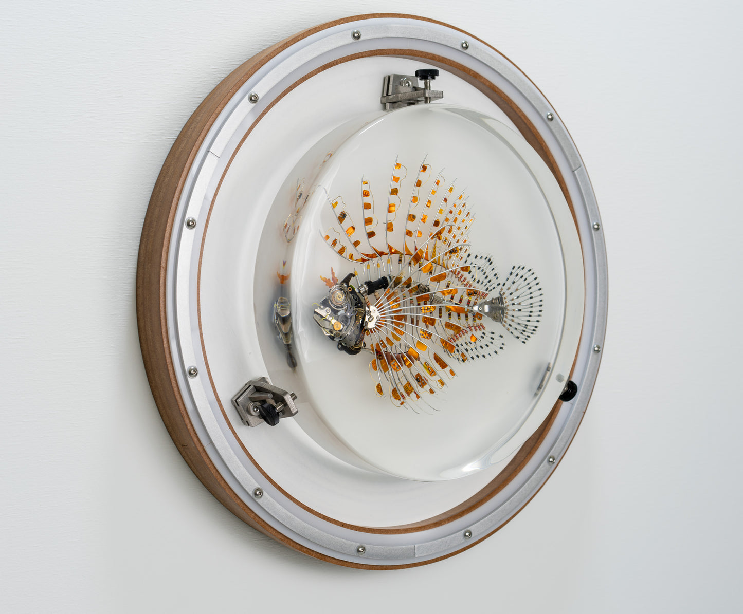 Kapton Lionfish, 2023
