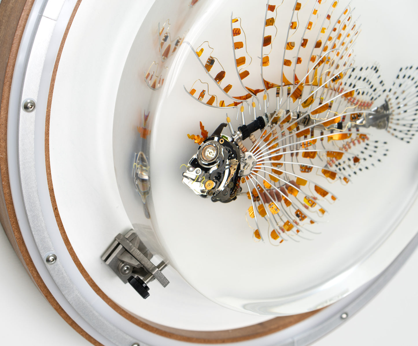 Kapton Lionfish, 2023