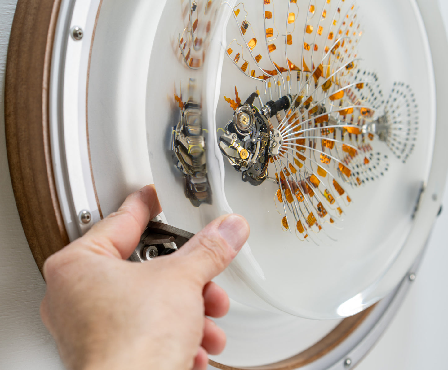 Kapton Lionfish, 2023