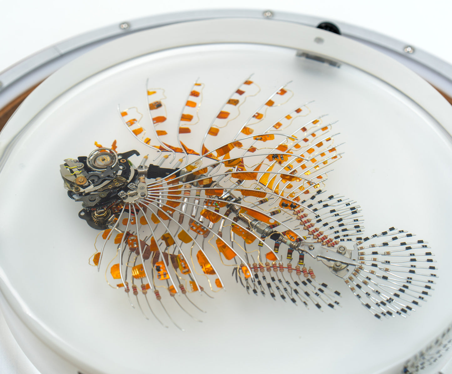 Kapton Lionfish, 2023
