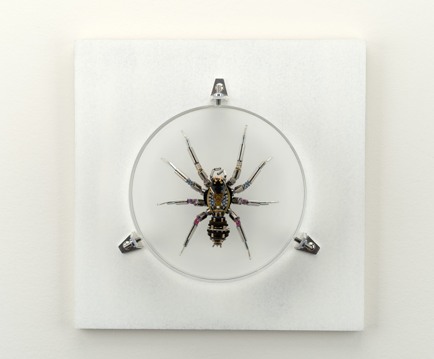 Lithium Lycosidae, 2023