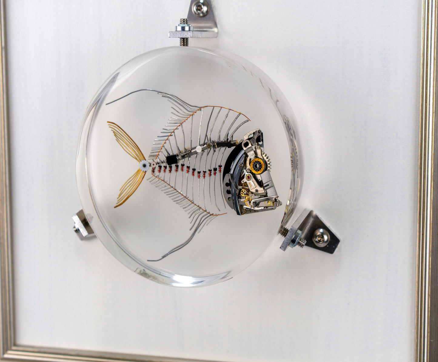 Lunar Lookdown Fish, 2023