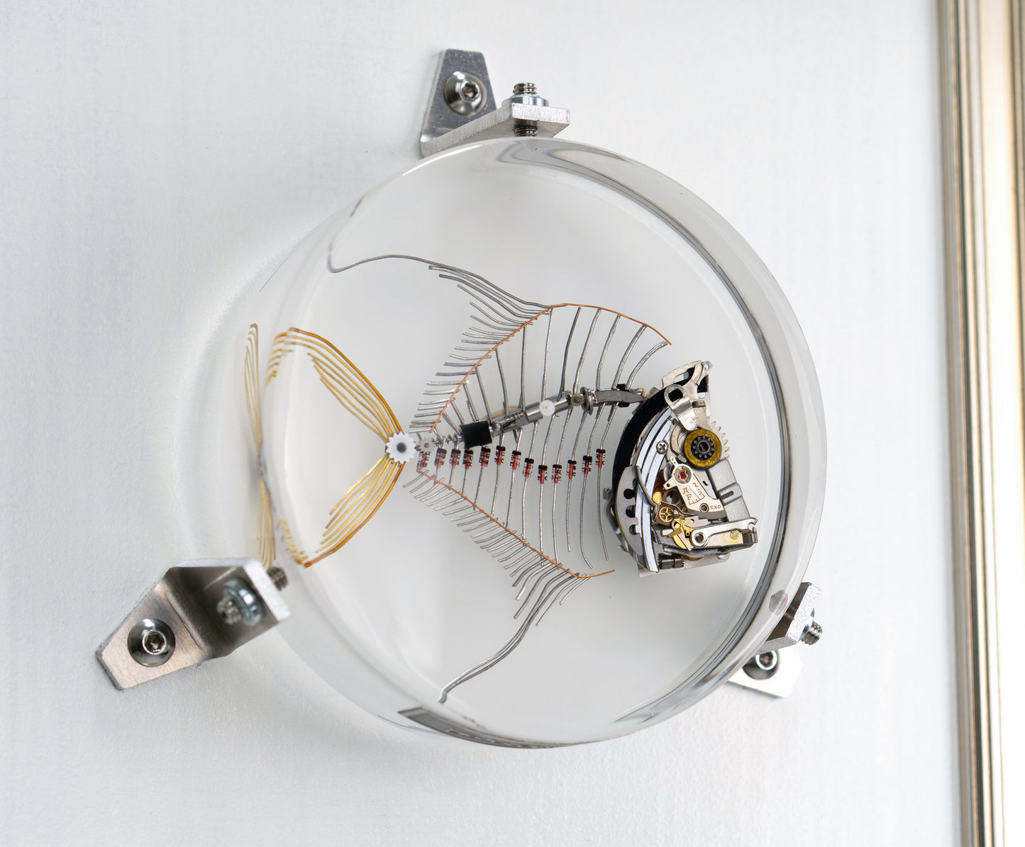 Lunar Lookdown Fish, 2023