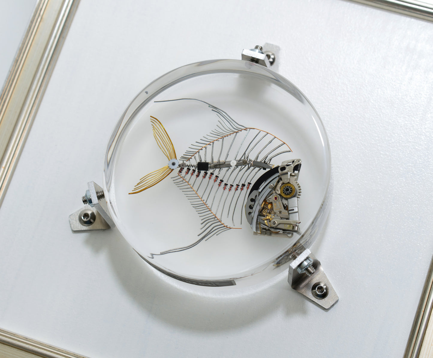 Lunar Lookdown Fish, 2023