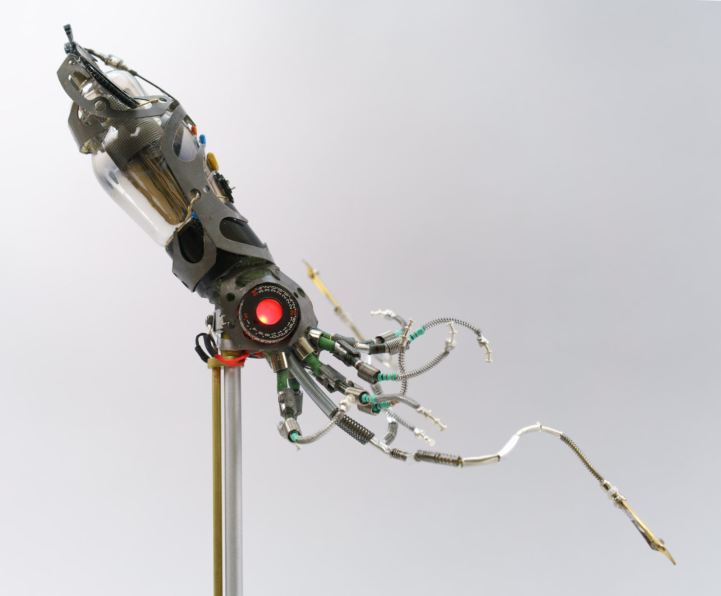 Mighty Pen Squid, 2026