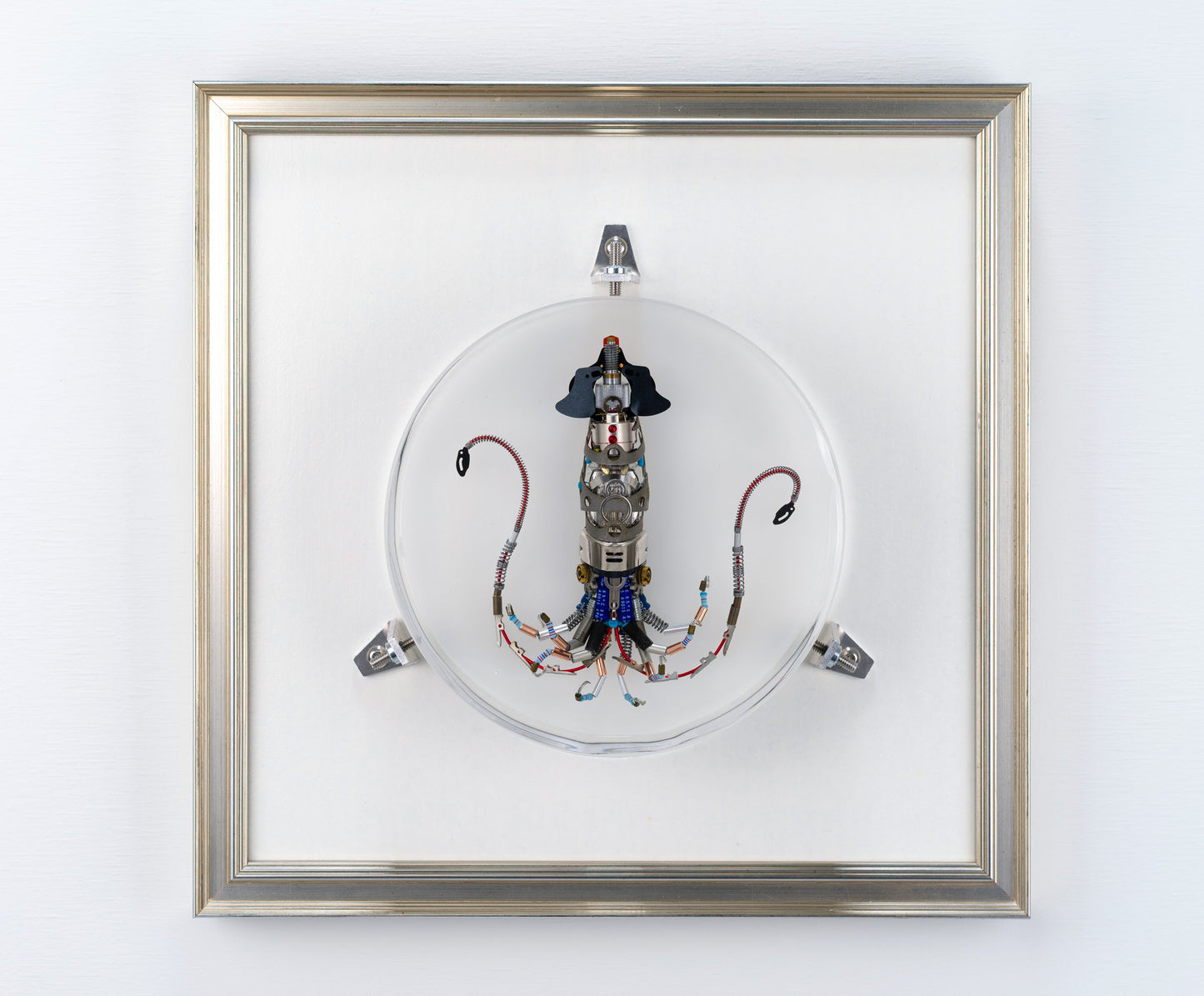 Miniature Giant Squid, 2023