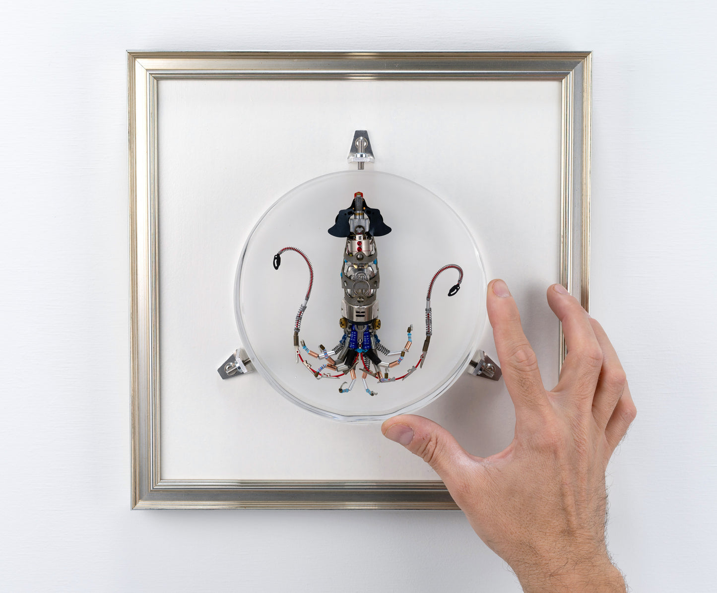 Miniature Giant Squid, 2023