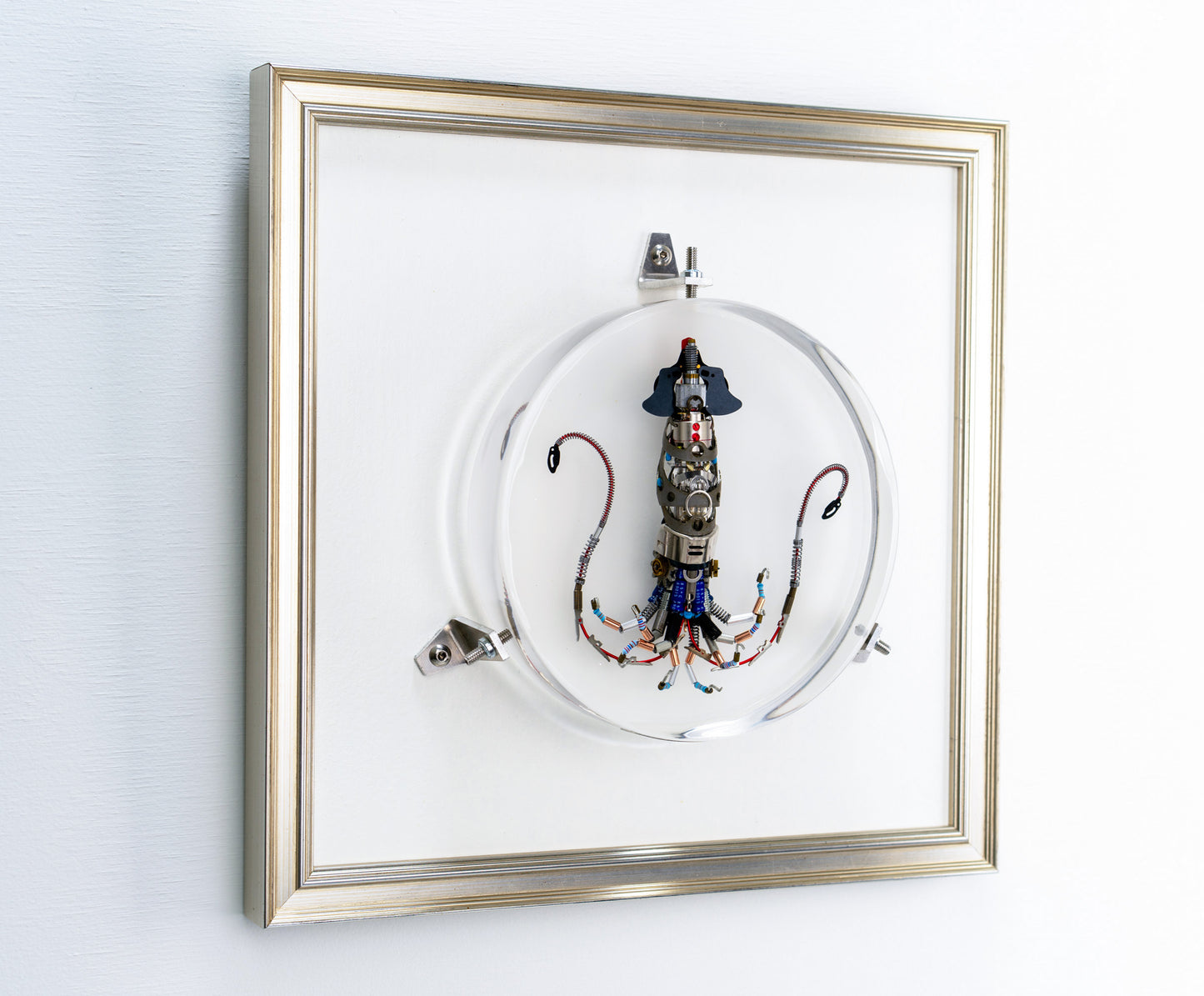 Miniature Giant Squid, 2023