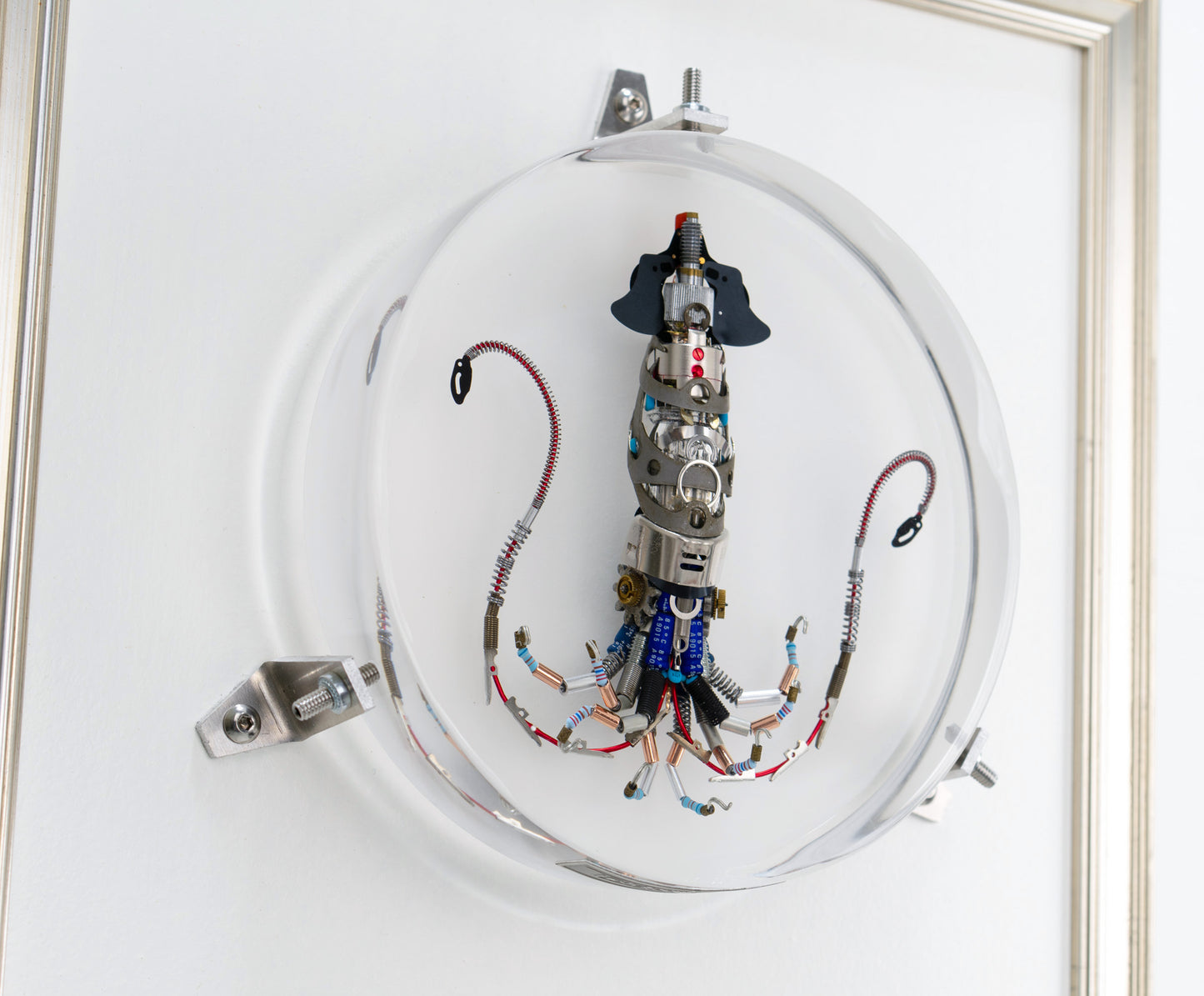 Miniature Giant Squid, 2023