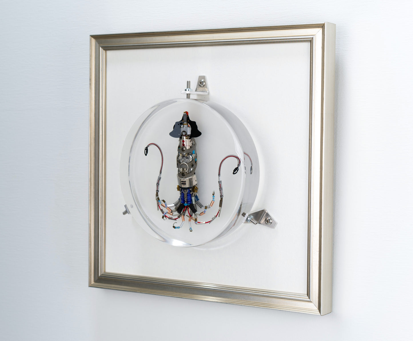 Miniature Giant Squid, 2023