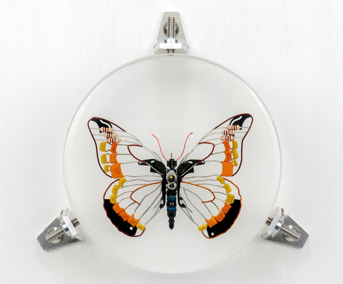 Non-Arc Butterfly, 2023