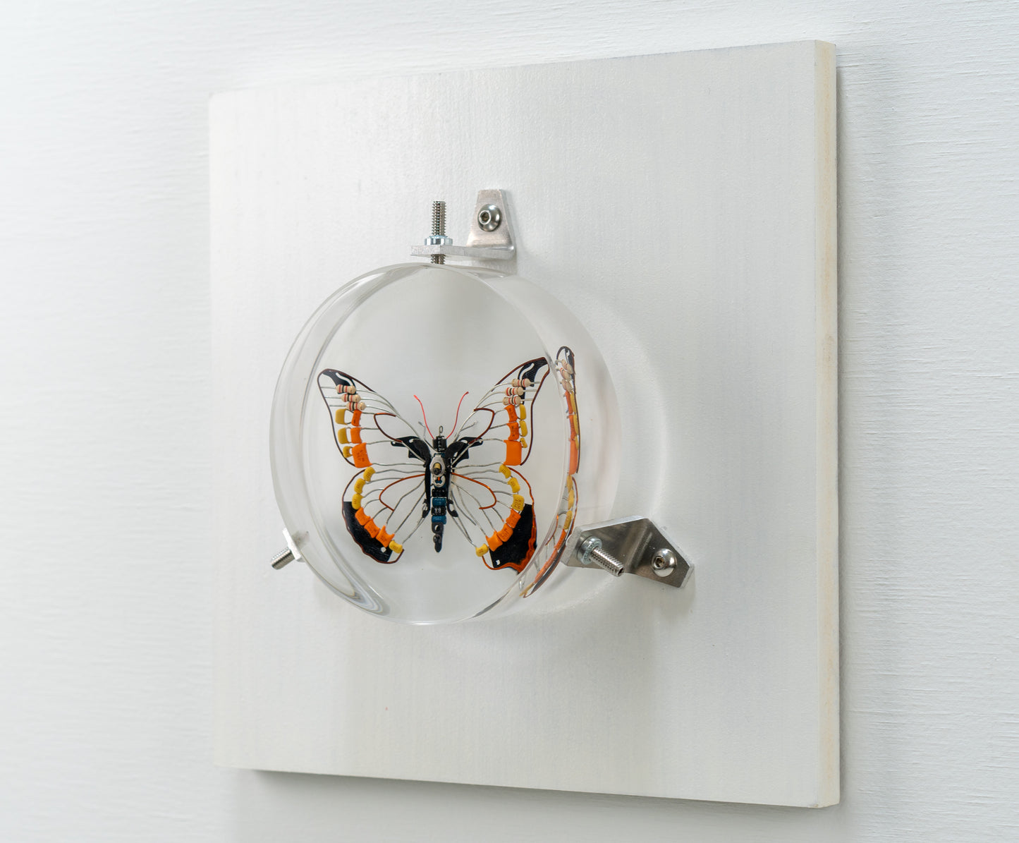Non-Arc Butterfly, 2023