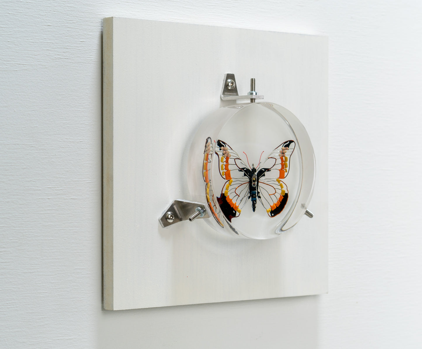 Non-Arc Butterfly, 2023