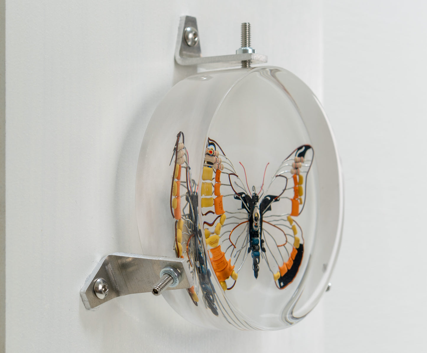 Non-Arc Butterfly, 2023