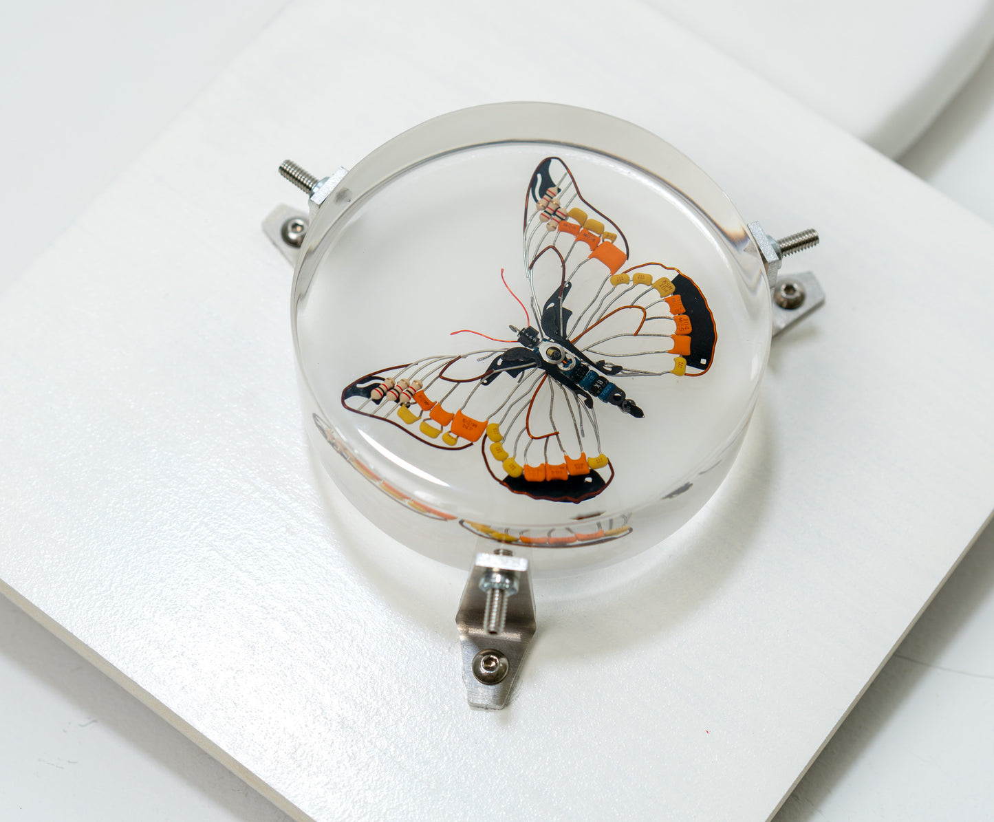 Non-Arc Butterfly, 2023