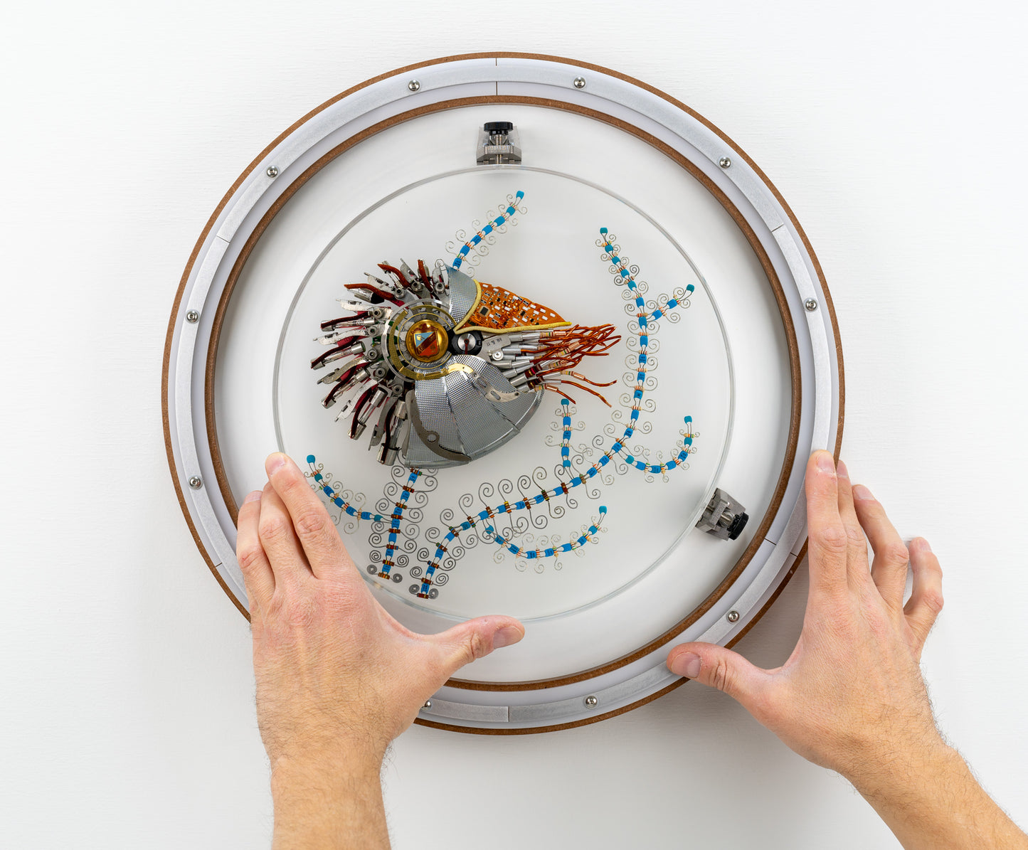 Speira Nautilus, 2023