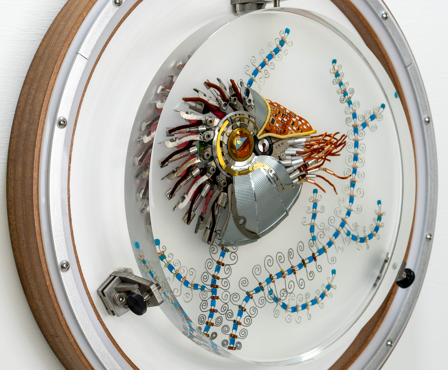 Speira Nautilus, 2023