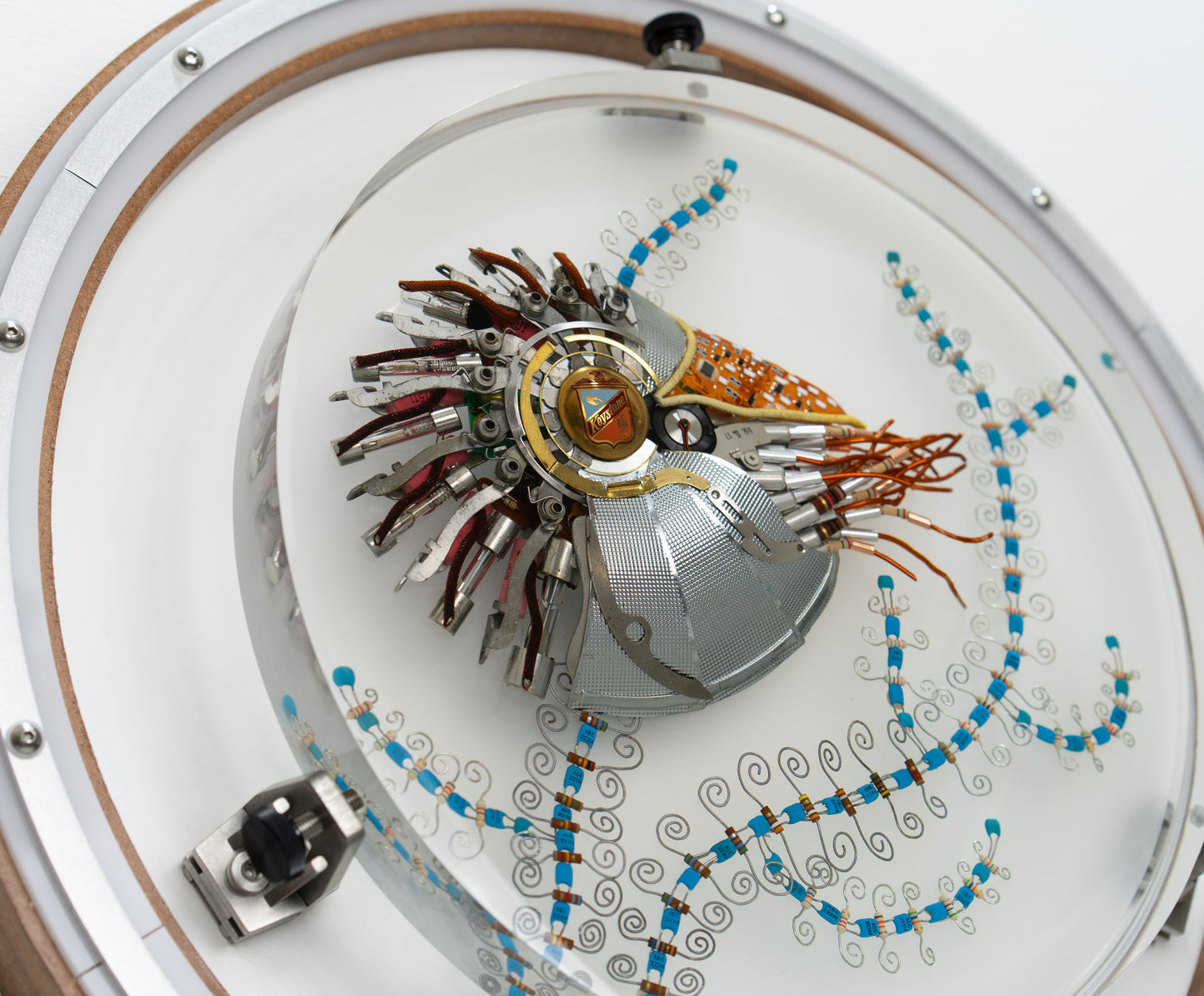 Speira Nautilus, 2023