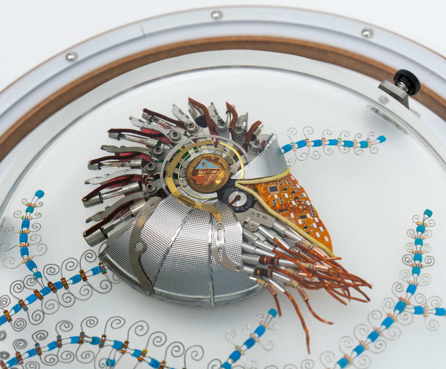 Speira Nautilus, 2023