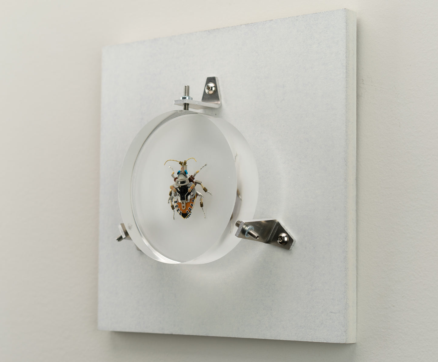 Octabit Shield Bug, 2023