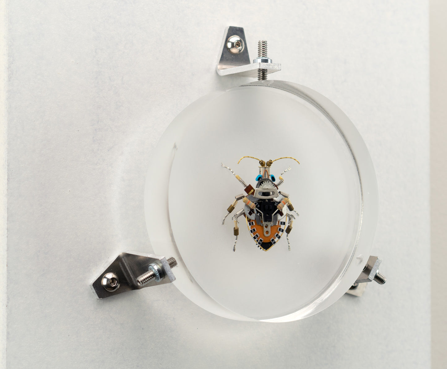 Octabit Shield Bug, 2023