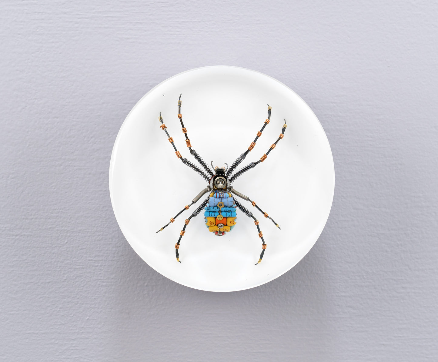 In-Orbit Orb-Weaver, 2024