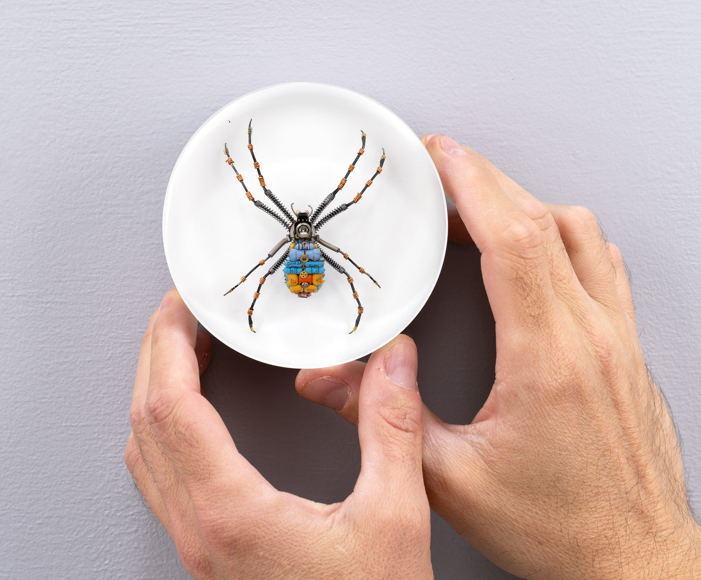 In-Orbit Orb-Weaver, 2024