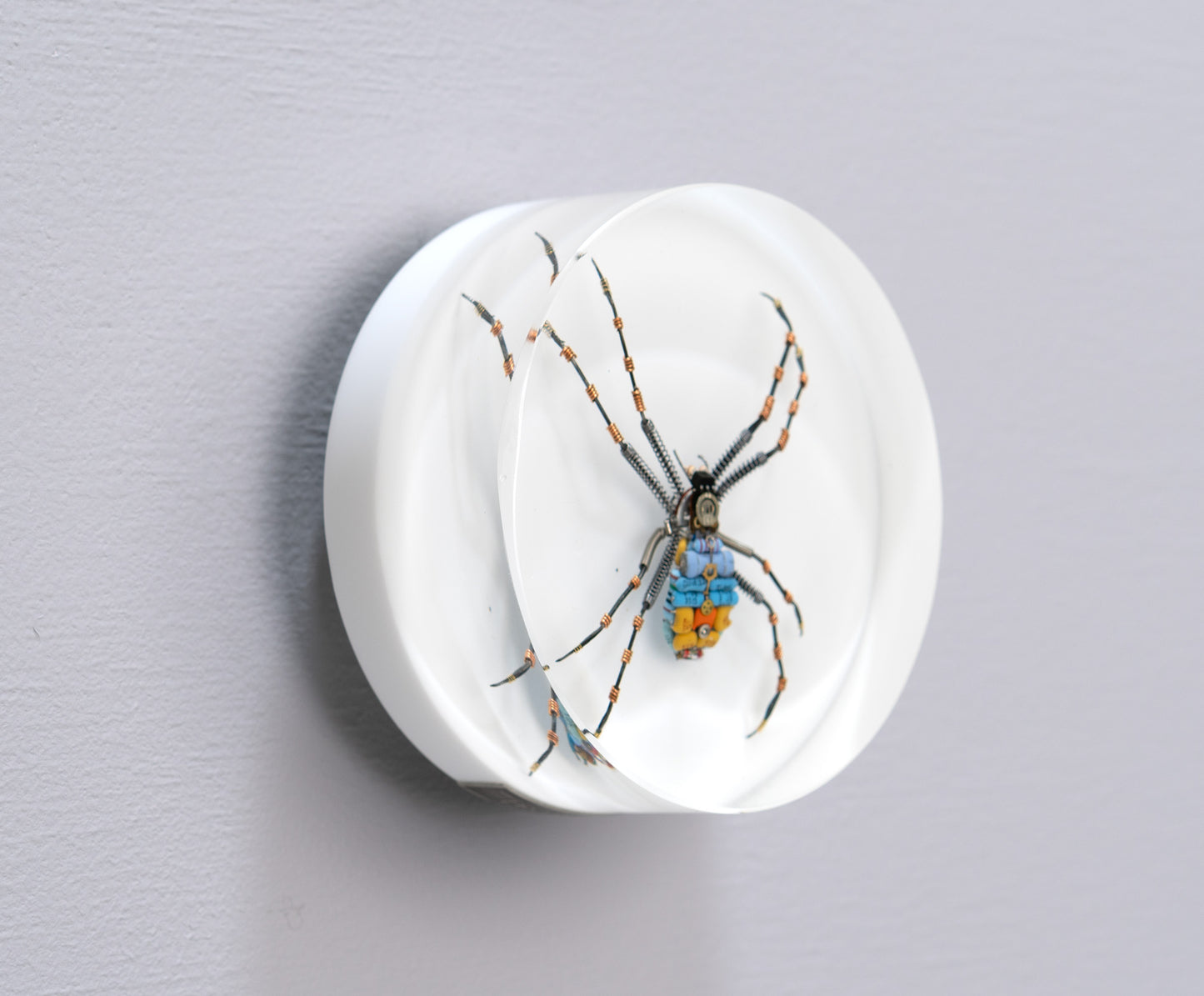 In-Orbit Orb-Weaver, 2024
