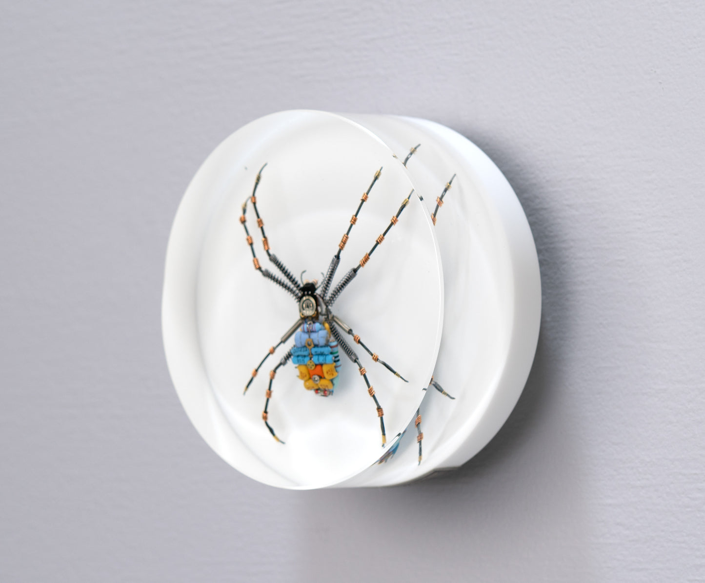 In-Orbit Orb-Weaver, 2024