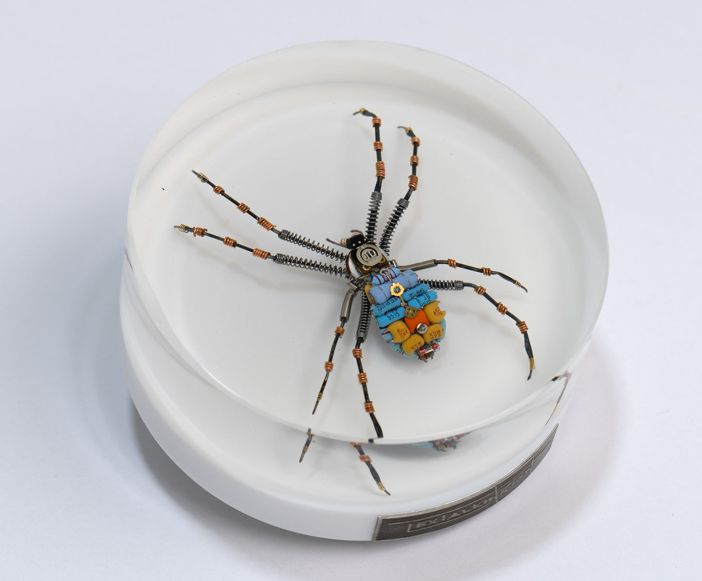 In-Orbit Orb-Weaver, 2024