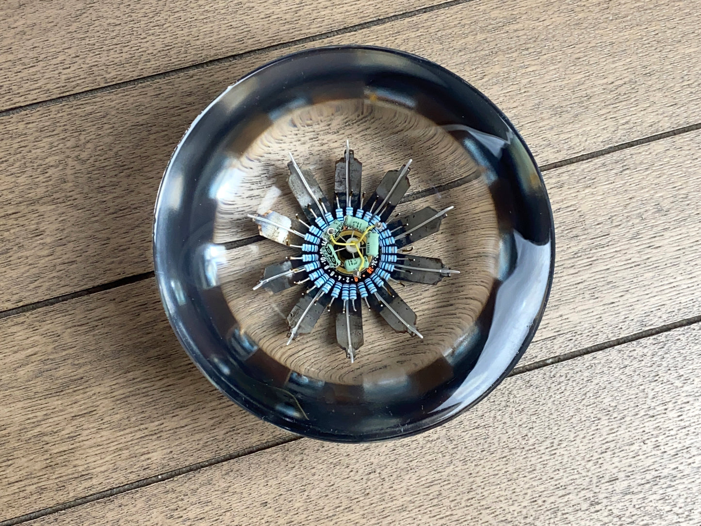 Passion Flower Pond, 2022