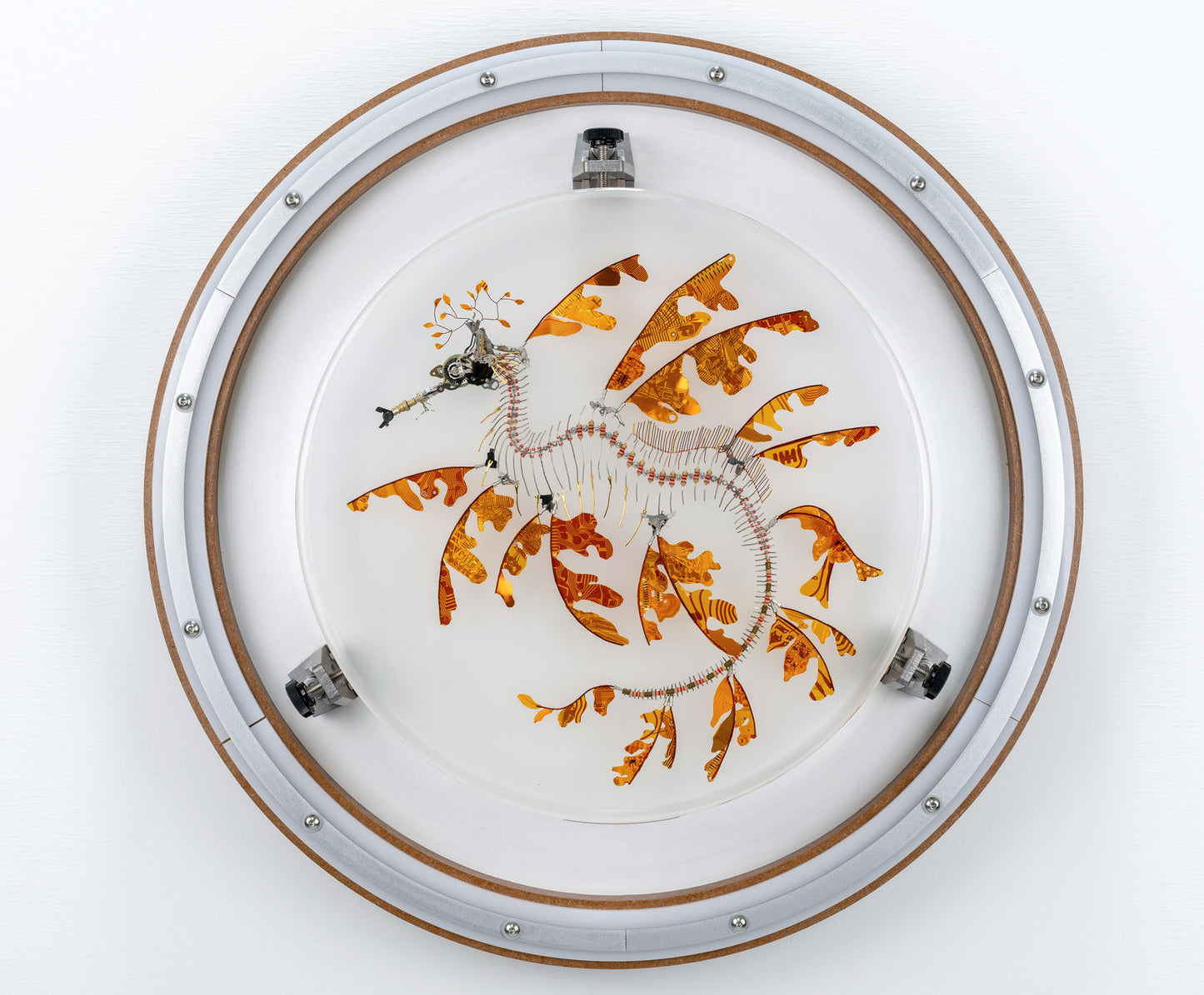 Polyimide Seadragon, 2023