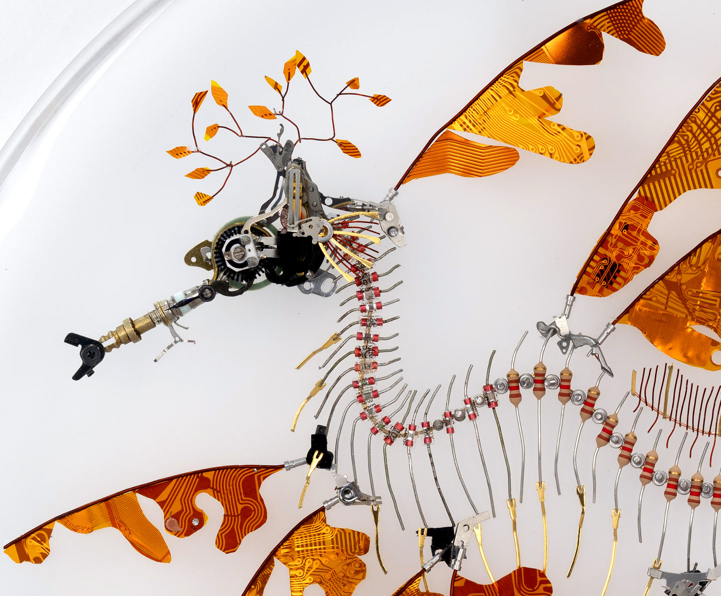 Polyimide Seadragon, 2023