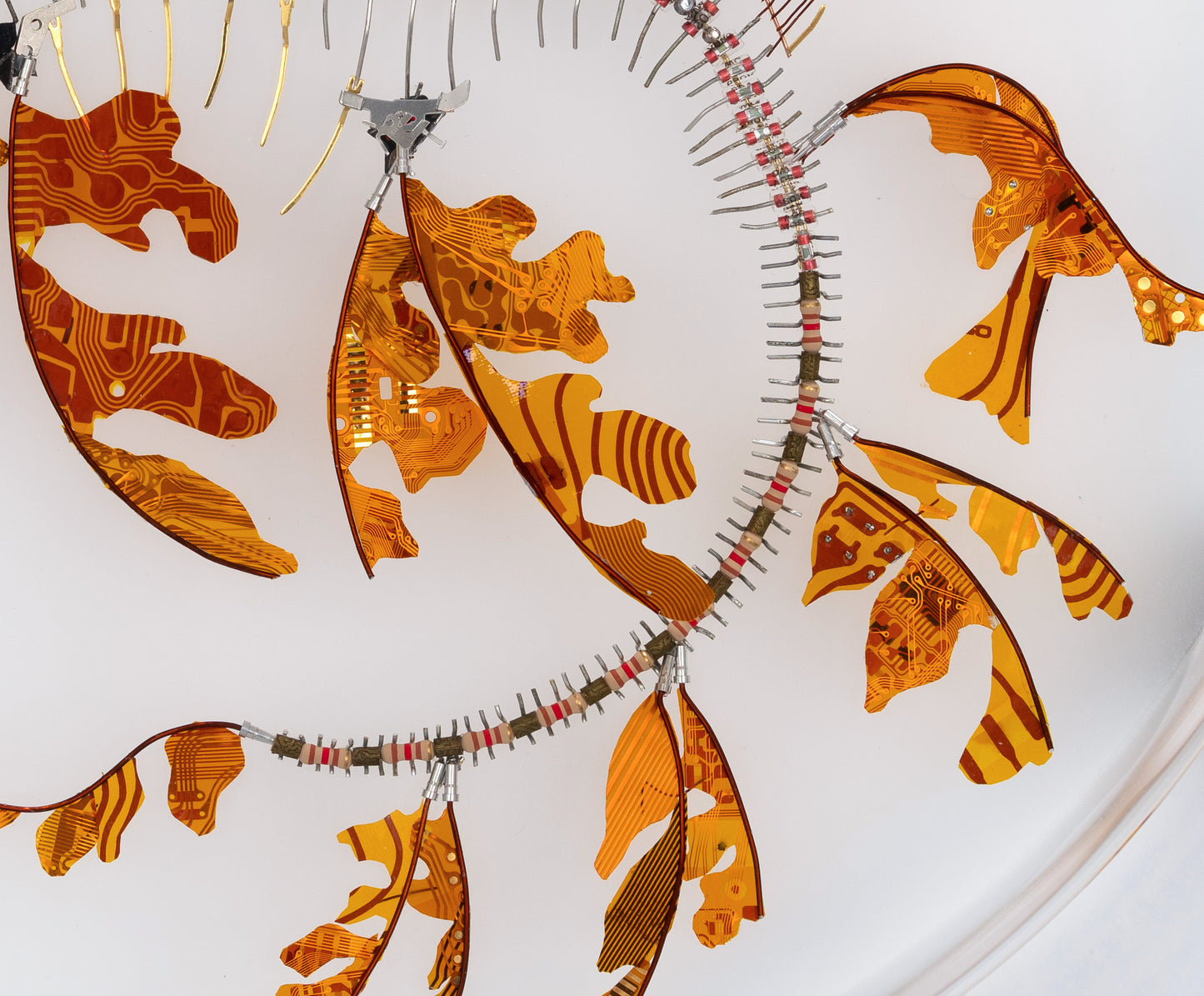 Polyimide Seadragon, 2023