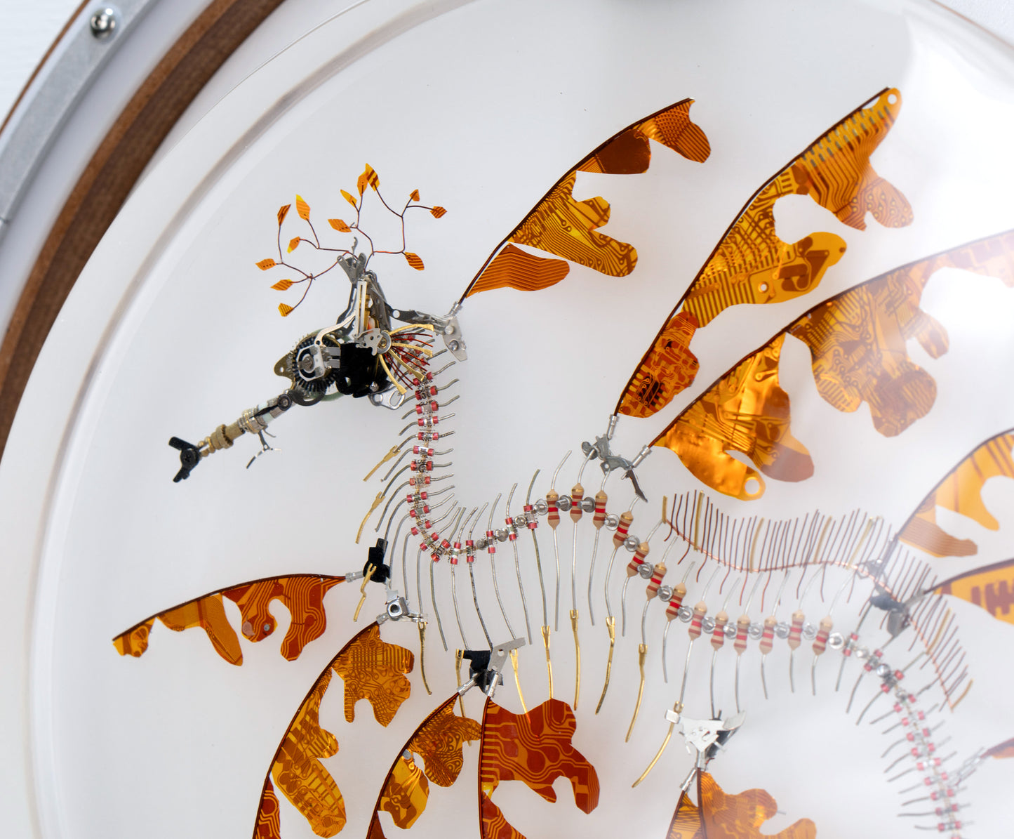 Polyimide Seadragon, 2023