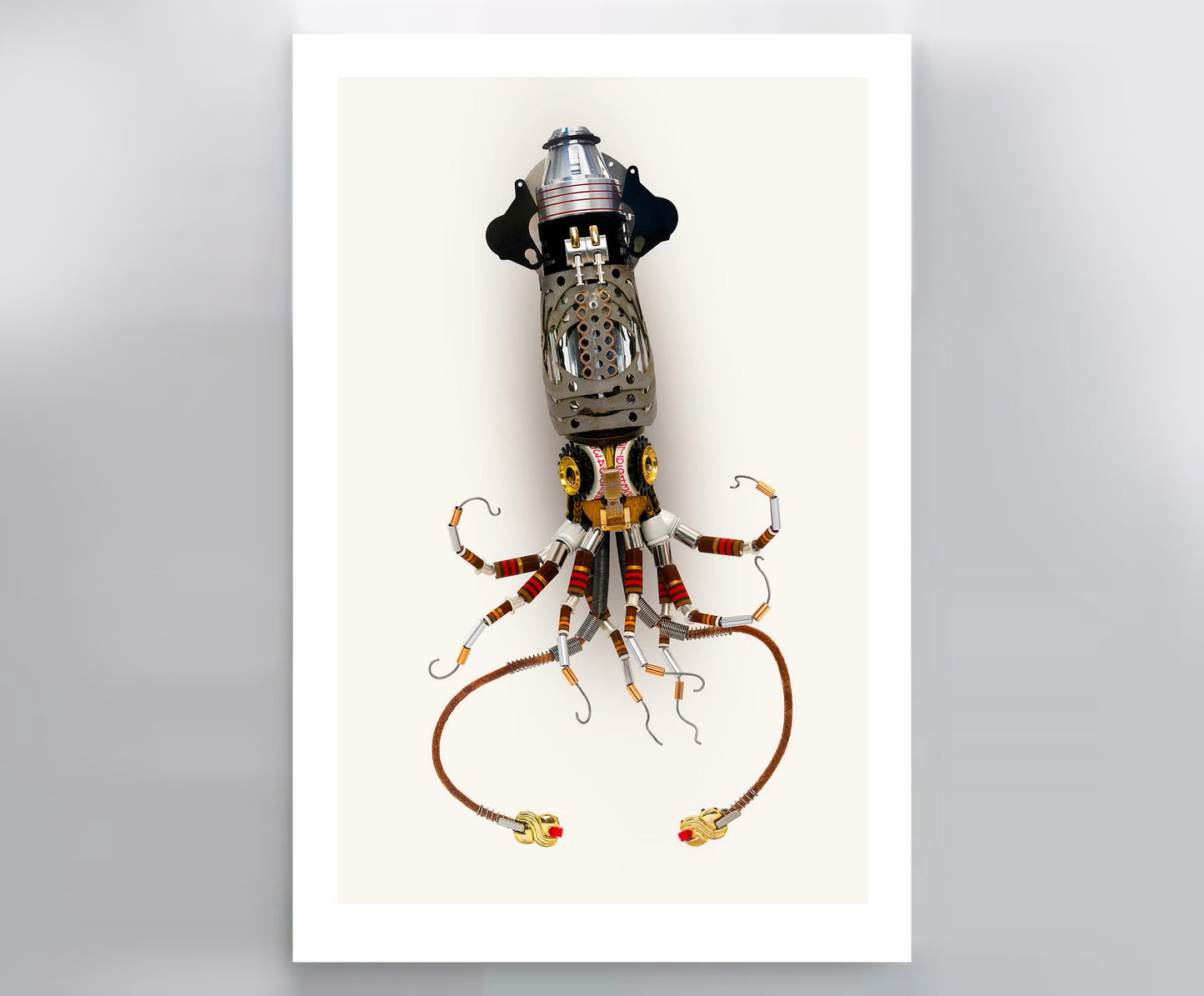 Squid Signed Fine Art Print (10 x 15)