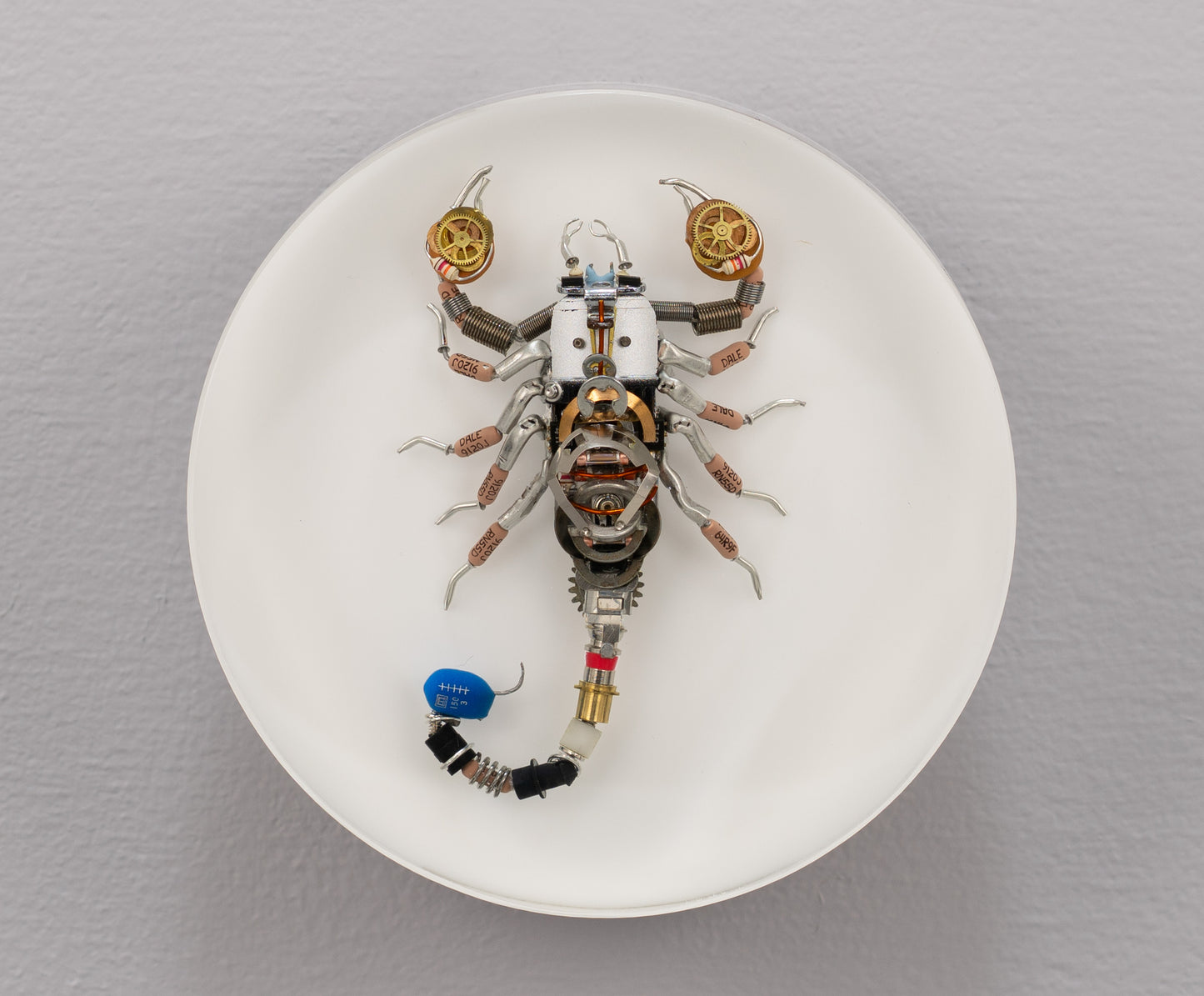 Cobalt Scorpion, 2025