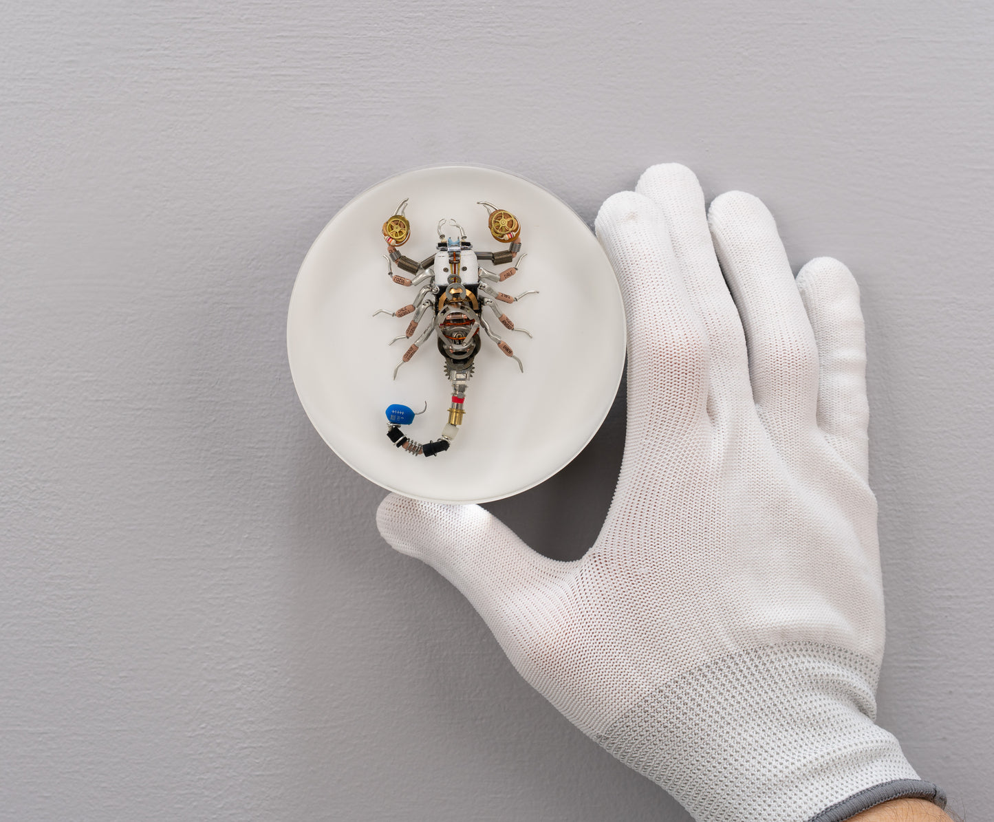 Cobalt Scorpion, 2025