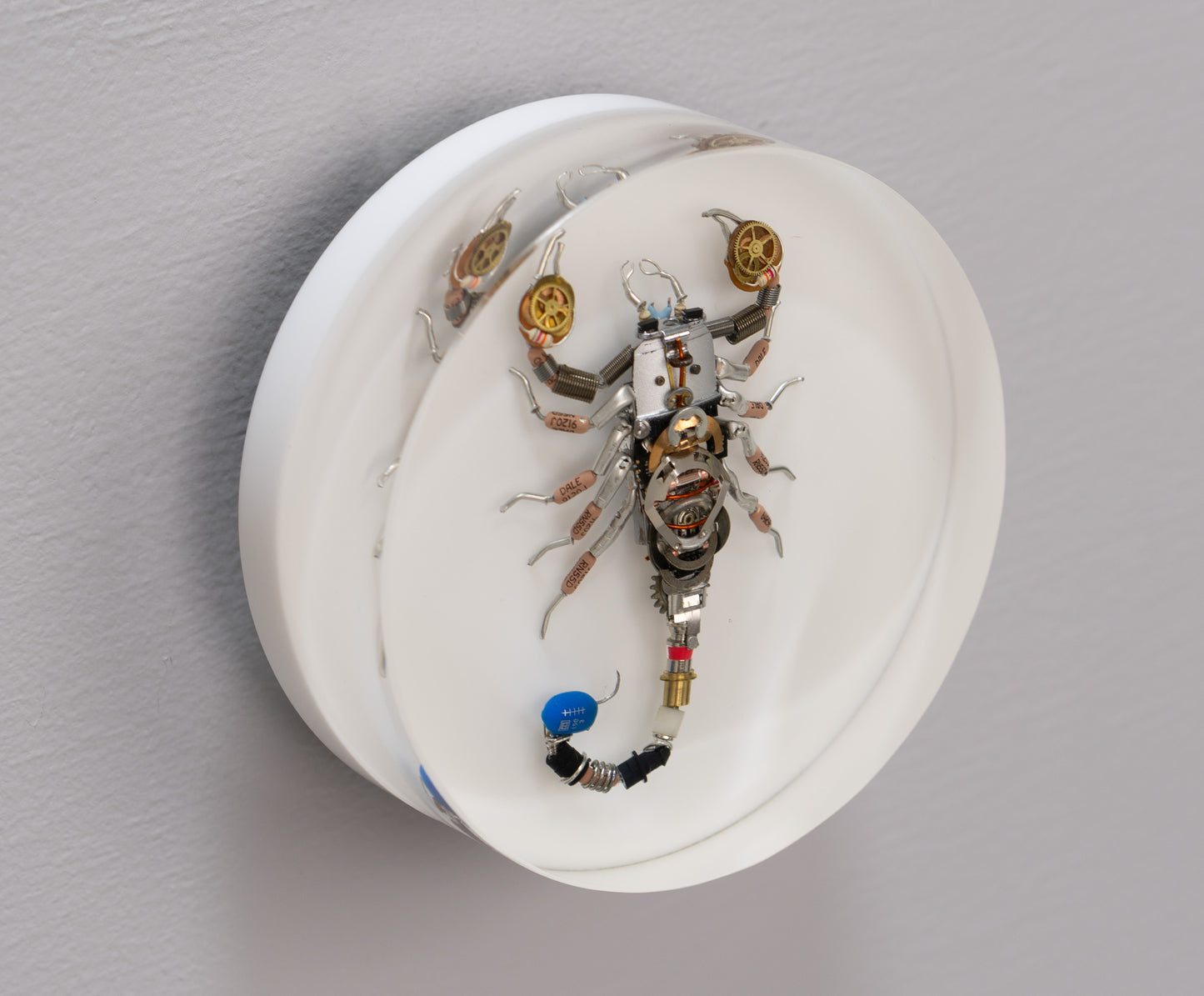 Cobalt Scorpion, 2025