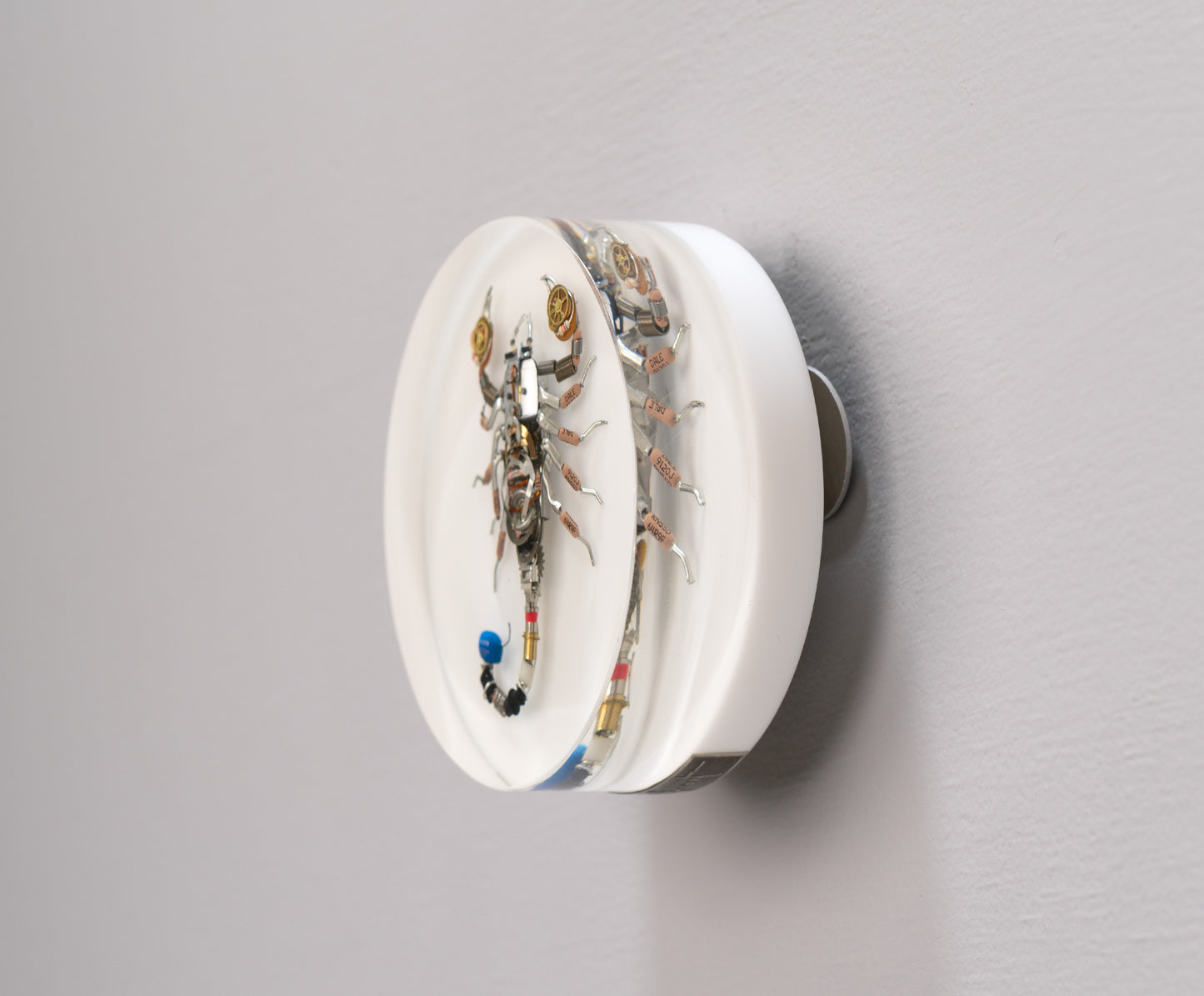 Cobalt Scorpion, 2025