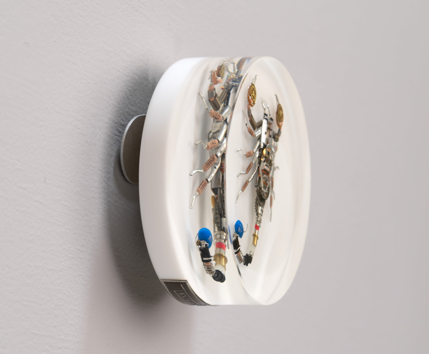 Cobalt Scorpion, 2025