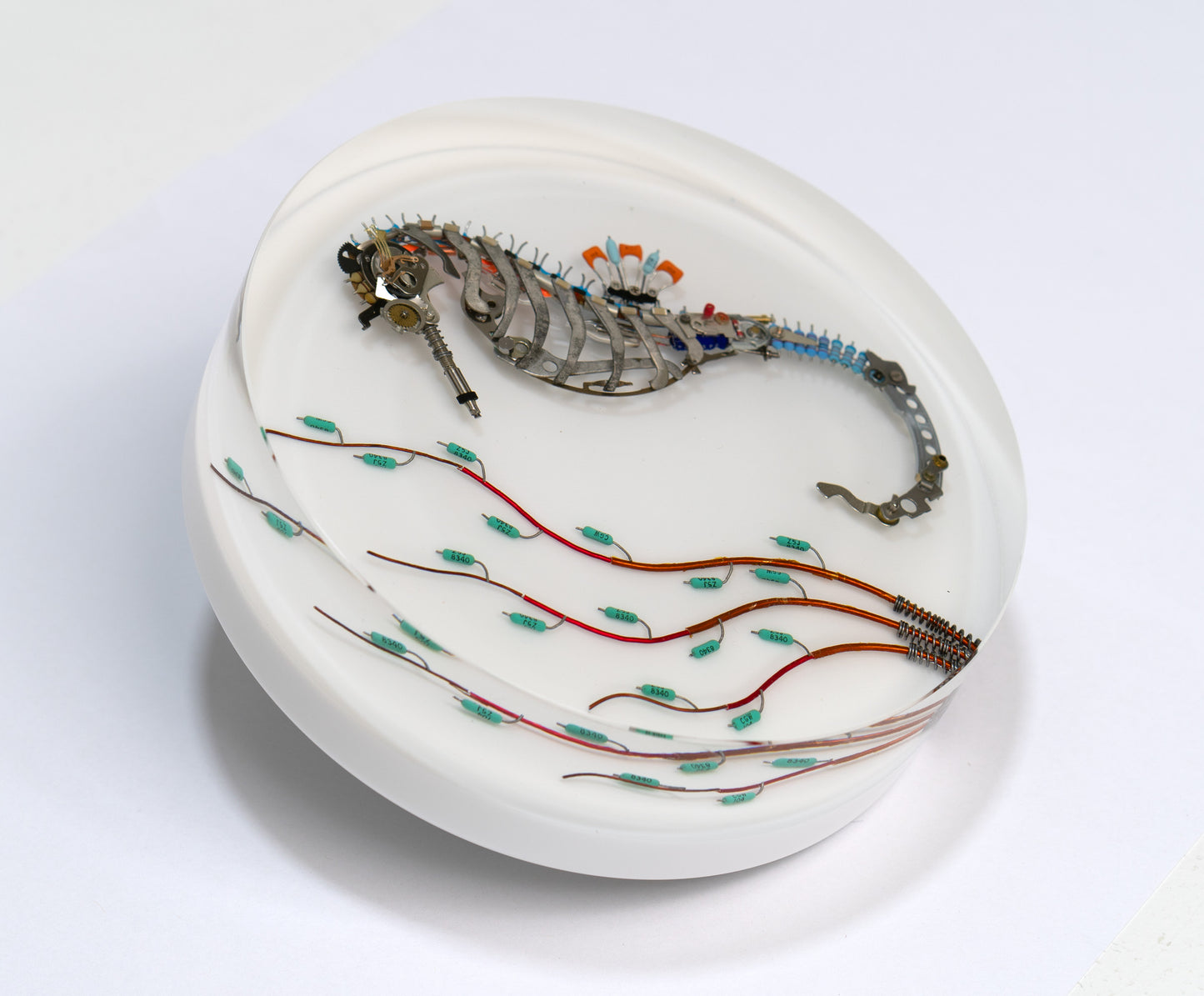 Iridium Mane Seahorse, 2024