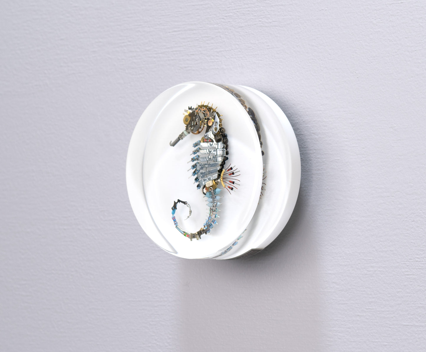 Pneumatic Nozzle Seahorse, 2024
